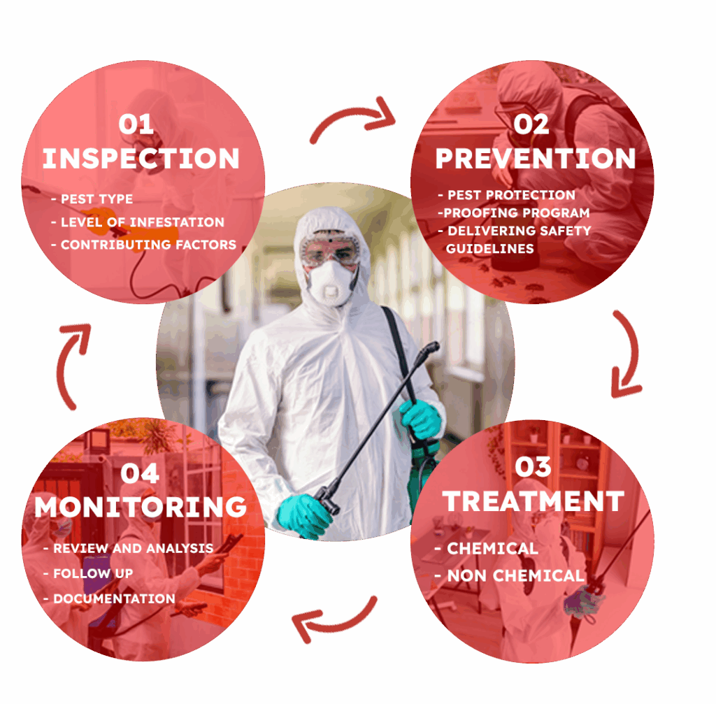 Focused Pest control services in Gurgaon