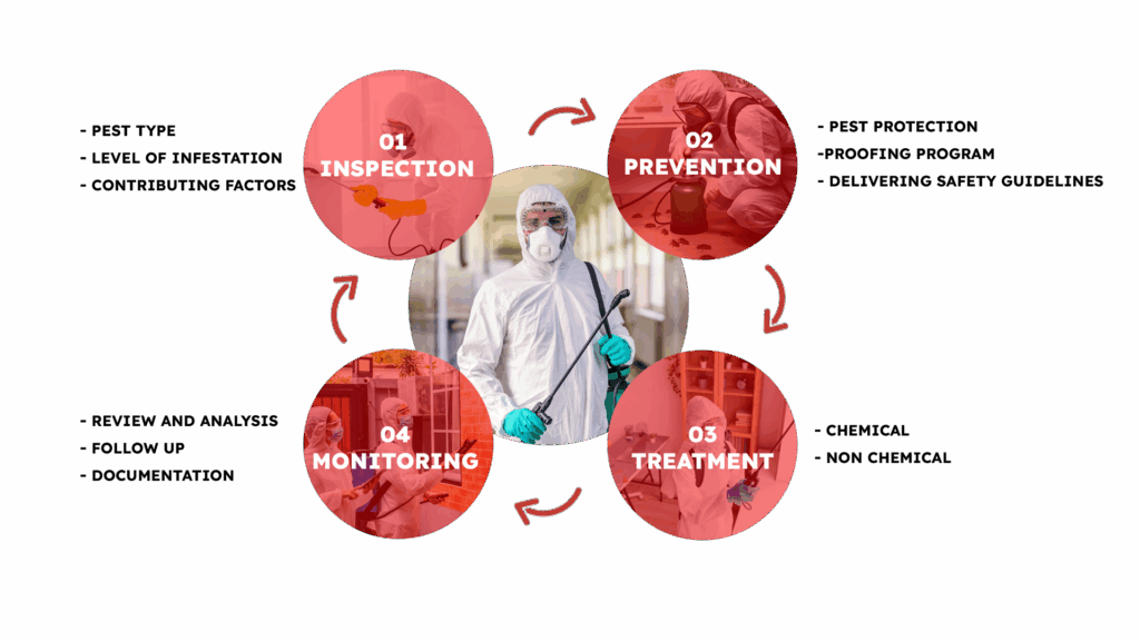 Detailed Pest control services in Gurgaon